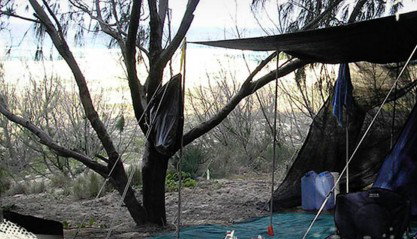 Main Beach Foreshore Camping Grounds - Accommodation Brunswick Heads 0