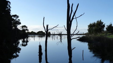 A Fare With Nature @ Prom Road Farm - Accommodation Brunswick Heads 6