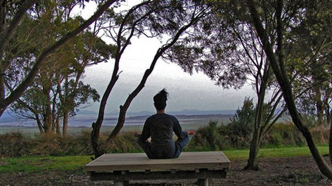 Sabrelyn Park - Accommodation Brunswick Heads 4
