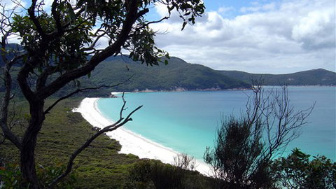 Sabrelyn Park - Accommodation Brunswick Heads 6