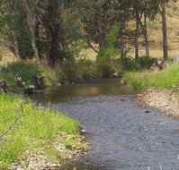 Murphy's Cabin - Accommodation Brunswick Heads