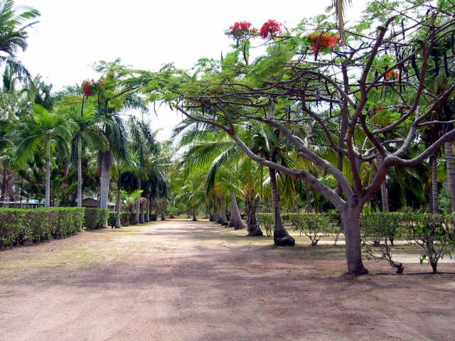 Alva QLD Accommodation Brunswick Heads