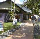 Cool Waters Holiday Park - Accommodation Brunswick Heads