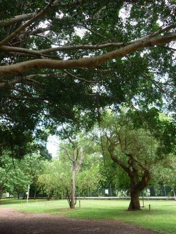 Discovery Holiday Parks - Darwin - Accommodation Brunswick Heads 10