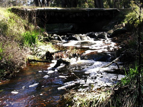 Hidden Grove Retreat - Accommodation Brunswick Heads 4
