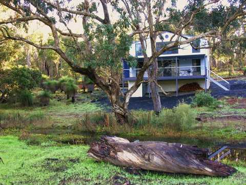 Hidden Grove Retreat - Accommodation Brunswick Heads 5
