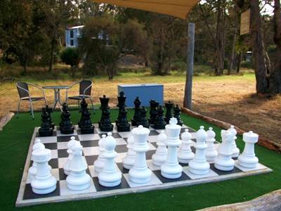 Hidden Grove Retreat - Accommodation Brunswick Heads 6