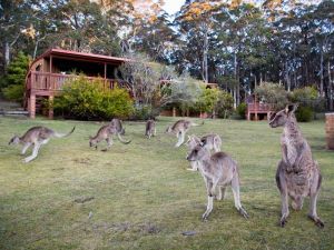 Jenolan Caves Cottages - Accommodation Brunswick Heads 1