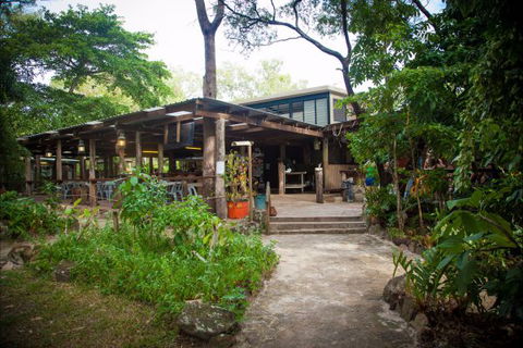 Cape York Camping Punsand Bay - Accommodation Brunswick Heads 9