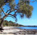 Currarong Beachside Holiday Park - Accommodation Brunswick Heads