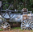 Dingo Tops campground - Accommodation Brunswick Heads