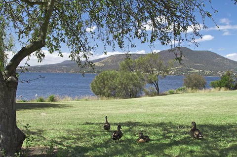 Riverfront Motel & Villas - Accommodation Brunswick Heads 0