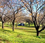 Wellington Caves Caravan Park - Accommodation Brunswick Heads