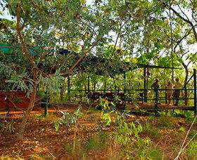 Arnhemland Barramundi Nature Lodge - Accommodation Brunswick Heads 0