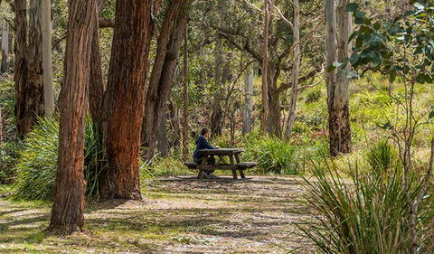 Koreelah Creek Campground - Accommodation Brunswick Heads 0