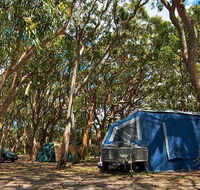 Stewart and Lloyds campground - Accommodation Brunswick Heads
