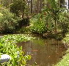 Tallowood Ridge B and B - Accommodation Brunswick Heads