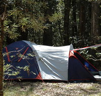 Thungutti campground - Accommodation Brunswick Heads