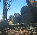 Warreen Farmstay Rural Accommodation - Accommodation Brunswick Heads