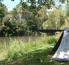 Williams River Holiday Park - Accommodation Brunswick Heads