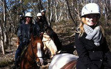 JE Resort (Jindabyne Equestrian Resort) - Accommodation Brunswick Heads 1