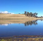 Bombala Maneroo Motel - Bombala - Accommodation Brunswick Heads