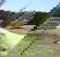 Tuena Camping and Picnic Ground - Accommodation Brunswick Heads