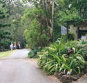 Tamborine Mountain Caravan  Camping - Accommodation Brunswick Heads