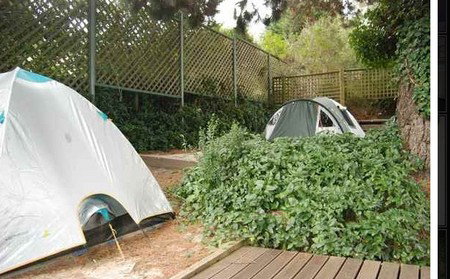 The Flying Fox Backpackers - Accommodation Brunswick Heads 2