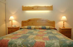 Best Western Fawkner Airport Motor Inn & Serviced Apartments - Accommodation Brunswick Heads 1