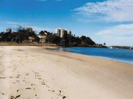 Camden Motor Inn - Accommodation Brunswick Heads 2