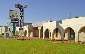 Citrus Motel - Accommodation Brunswick Heads 0