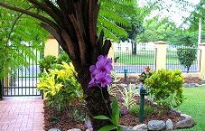 Waterfront Terraces - Accommodation Brunswick Heads 1