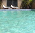 Toreador Motel - Coffs Harbour - Accommodation Brunswick Heads