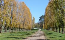 Kangadoo Cottage - Accommodation Brunswick Heads 1