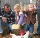 Linga Longa Farm Wingham - Accommodation Brunswick Heads