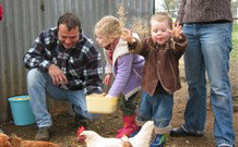 Linga Longa Farm Wingham - Accommodation Brunswick Heads 0
