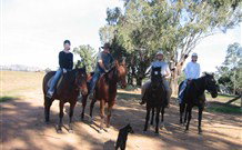 Linga Longa Farm Wingham - Accommodation Brunswick Heads 1