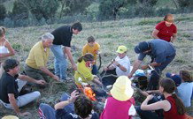 Linga Longa Farm Wingham - Accommodation Brunswick Heads 3