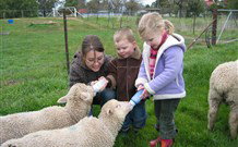 Linga Longa Farm Wingham - Accommodation Brunswick Heads 2