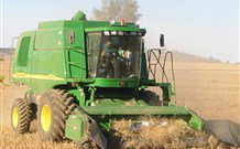 Linga Longa Farm Wingham - Accommodation Brunswick Heads 4