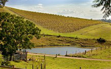 Sanctuary Hill Retreat - Accommodation Brunswick Heads 0