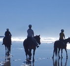 Whispering Brook - Accommodation Brunswick Heads