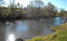 Ambleside Bed And Breakfast Cabins - Accommodation Brunswick Heads 4
