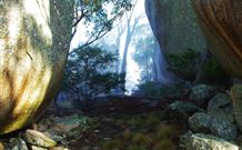 Anketell Forest Cottages - Accommodation Brunswick Heads 4