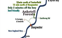 Anketell Forest Cottages - Accommodation Brunswick Heads 6