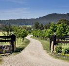 Pemberley Grange Hunter Valley Getaway - Accommodation Brunswick Heads