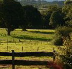 Pines on the Plateau - Accommodation Brunswick Heads