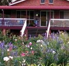 Rose Patch Bed and Breakfast - Accommodation Brunswick Heads