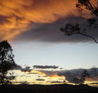 Silkwood B and B - Accommodation Brunswick Heads